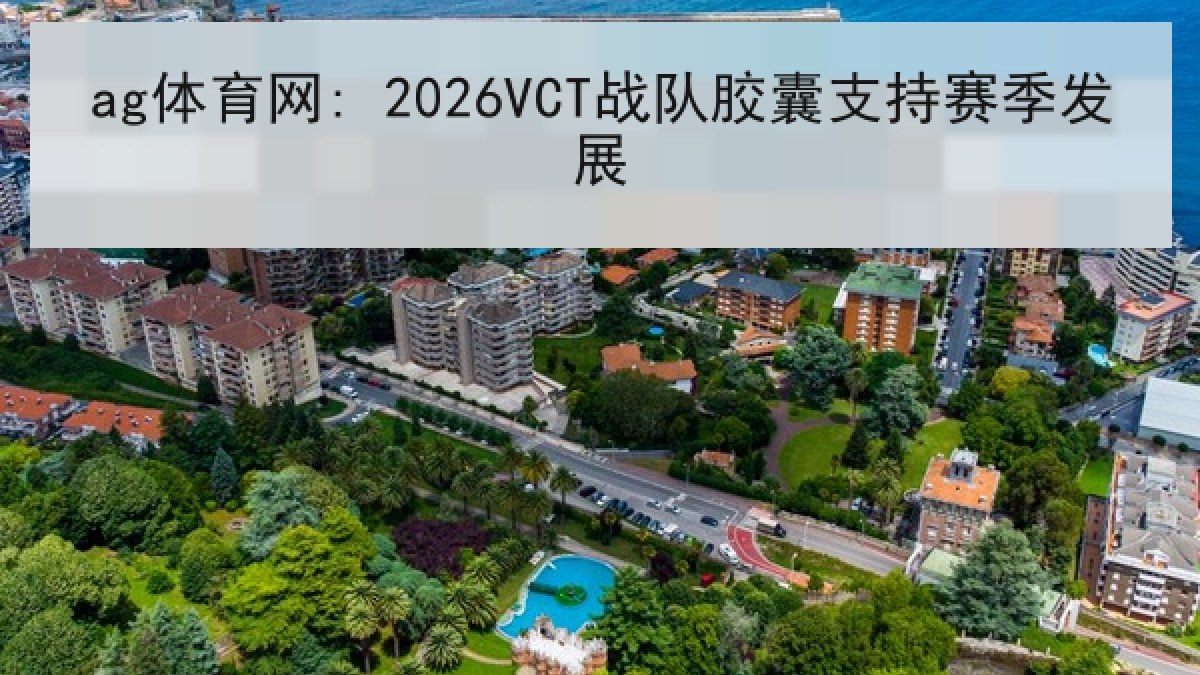 ag体育网: 2026VCT战队胶囊支持赛季发展