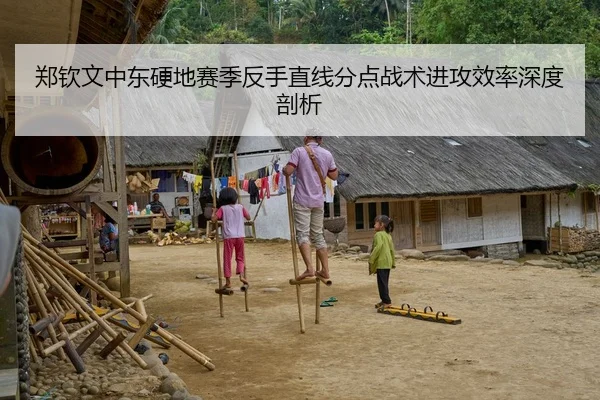 郑钦文中东硬地赛季反手直线分点战术进攻效率深度剖析