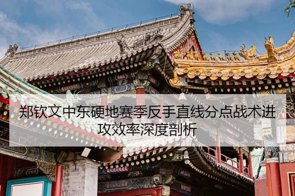 zheng-qin-wen-zhong-dong-ying-di-sai-ji-fan-shou-zhi-xian-fen-dian-zhan-shu-jin-gong-xiao-lv-shen-du-pou-xi-3-329.jpg