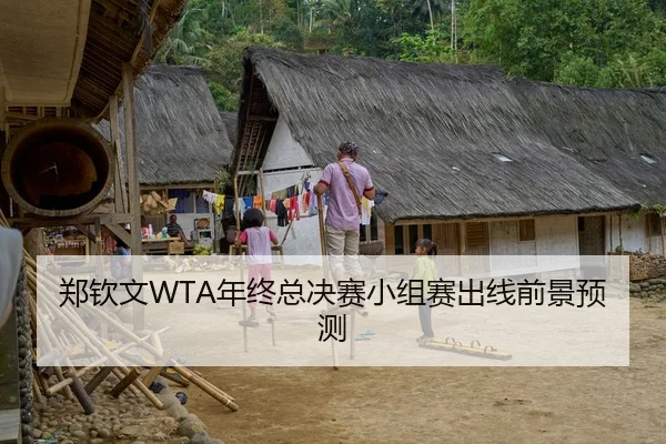 郑钦文WTA年终总决赛小组赛出线前景预测