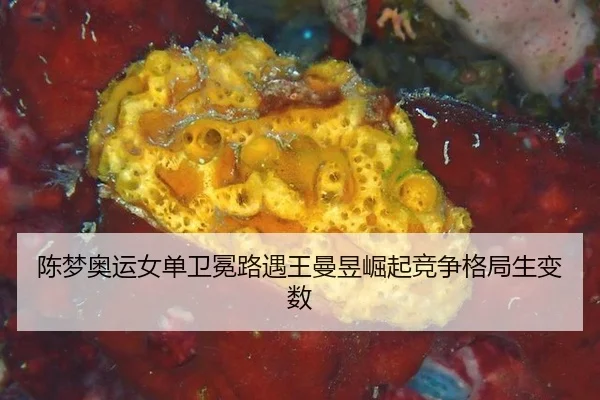 chen-meng-ao-yun-nv-dan-wei-mian-lu-yu-wang-man-yu-jue-qi-jing-zheng-ge-ju-sheng-bian-shu-3-717.jpg