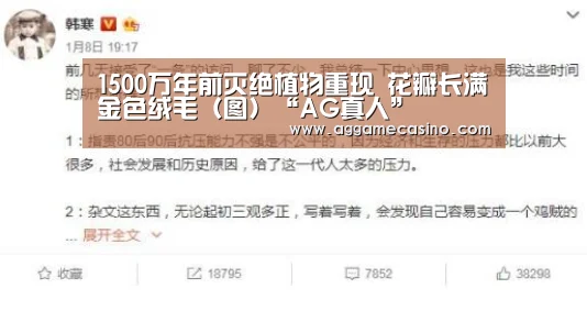 AG游艺
