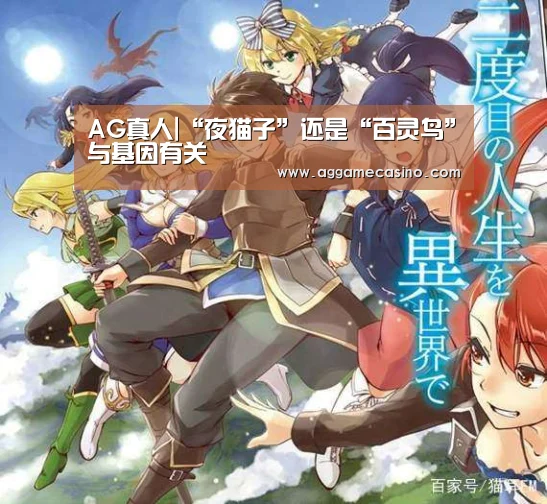 AG集团