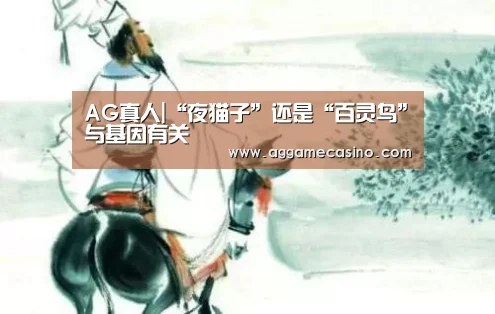 AG稳定